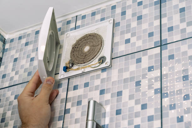 Best Dryer Vent Cleaning Services  in De Smet, SD